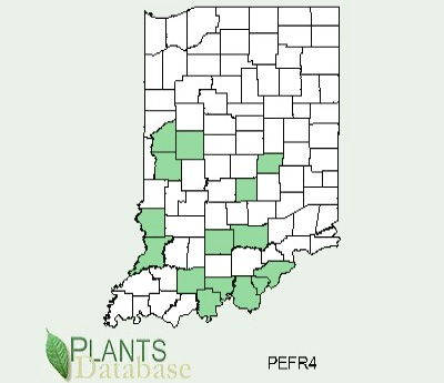 Figure 1. Documented cases of beefsteak plant in Indiana. Graphic source: USDA Plant Database accessed Sept. 14, 2010