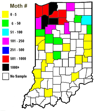 Western bean cutworm moth captures 2010