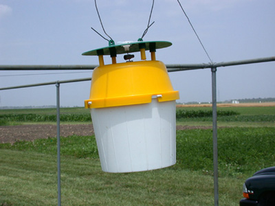 Black cutworm pheromone trap cooperators are using this bucket trap to monitor their arrival