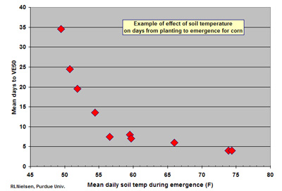 Fig. 2 Example of the effect of soil temperature on the timing of corn emergence