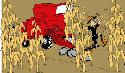 bug scout cartoon on harvesting