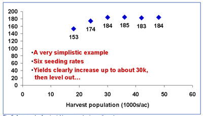 Fig. 5. An example of grain yield response to six seeding rates.