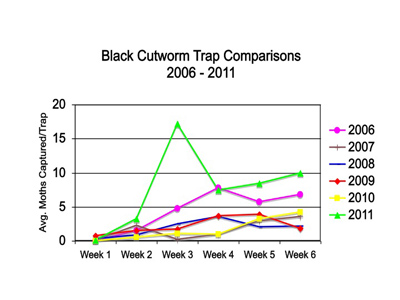 Black cutworm trap comparisons