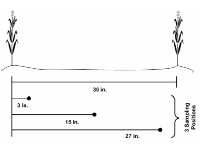 Figure 1. Recommended soil sampling pattern in relation to two corn rows when N fertilizer has been banded with the row. Always sample perpendicular to the direction fertilizer was applied. (Source of image: Brouder and Mengel, 2003).