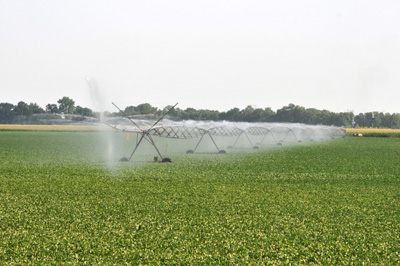 Irrigating soybeans