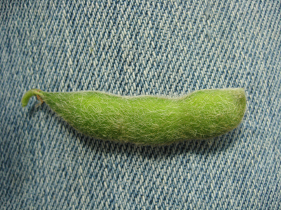 Figure 2. Soybean at R6 (full seed). Seeds filling the pod capacity in one pod at top 4 nodes.