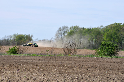 planting