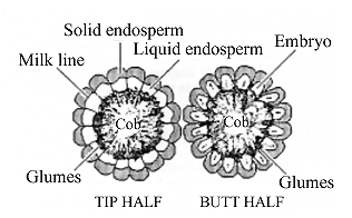 fig 11