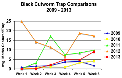 black cutworm moth compare 06-13 HU50 map