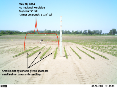 No residual herbicide May 30, 2014