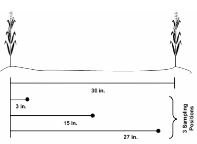Figure 1. Recommended soil sampling pattern in relation to two corn rows when N fertilizer has been banded with the row. Always sample perpendicular to the direction fertilizer was applied. (Source of image: Brouder & Mengel, 2003)