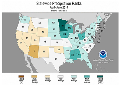 total precipitation