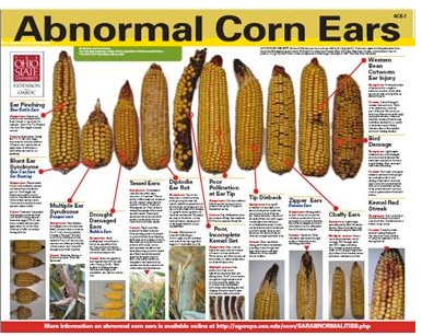 Fig. 2. "Abnormal Corn Ears" poster ACE-1