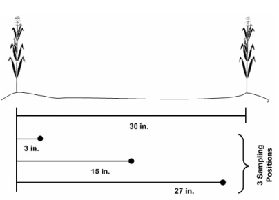 Figure 1. Recommended soil sampling pattern in relation to two corn
rows when N fertilizer has been banded with the row. Always sample
perpendicular to the direction fertilizer was applied.
(Source of image: Brouder & Mengel, 2003).