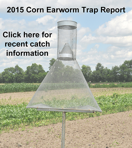 Corn Earworm Trap Report.