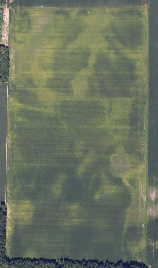N loss related to soil properties seen prior to fertilization