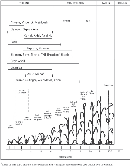 Figure 1. Feek's scale of winter wheat stages and herbicide application timings.