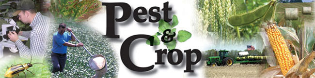 Pest & Crop