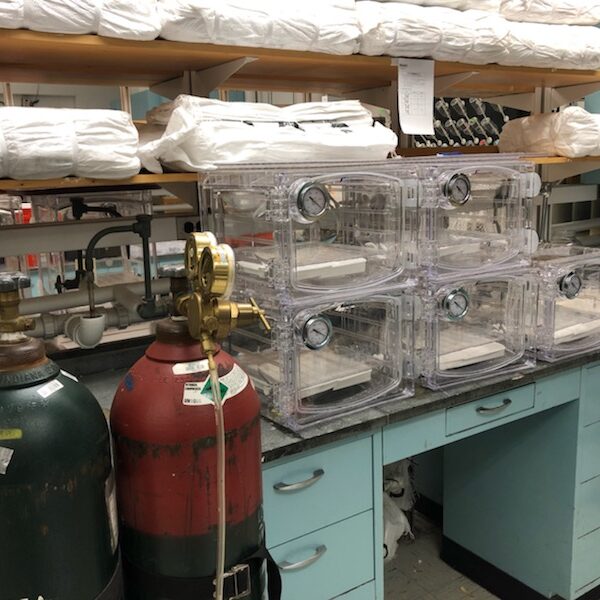 Vacuum chambers