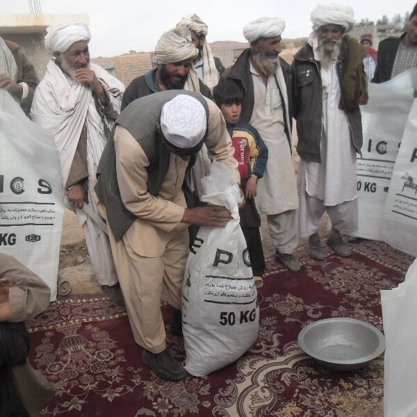 Afghanistan Demo