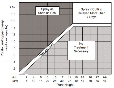 Figure 1. Management Guideline for Potato Leafhopper (adults and nymphs)