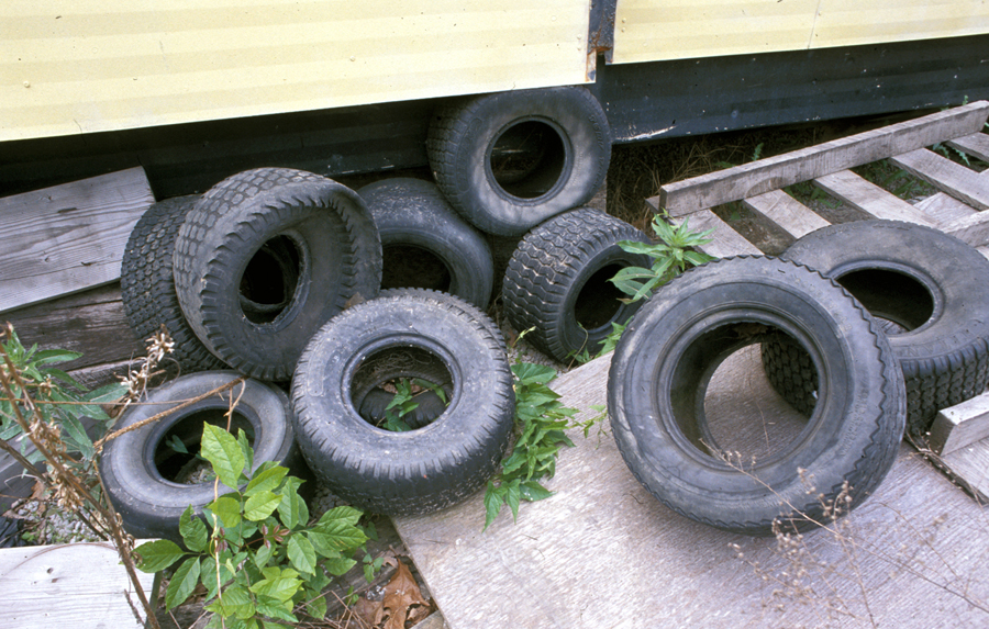 Old discarded tires are a breeding ground for mosquitoes.