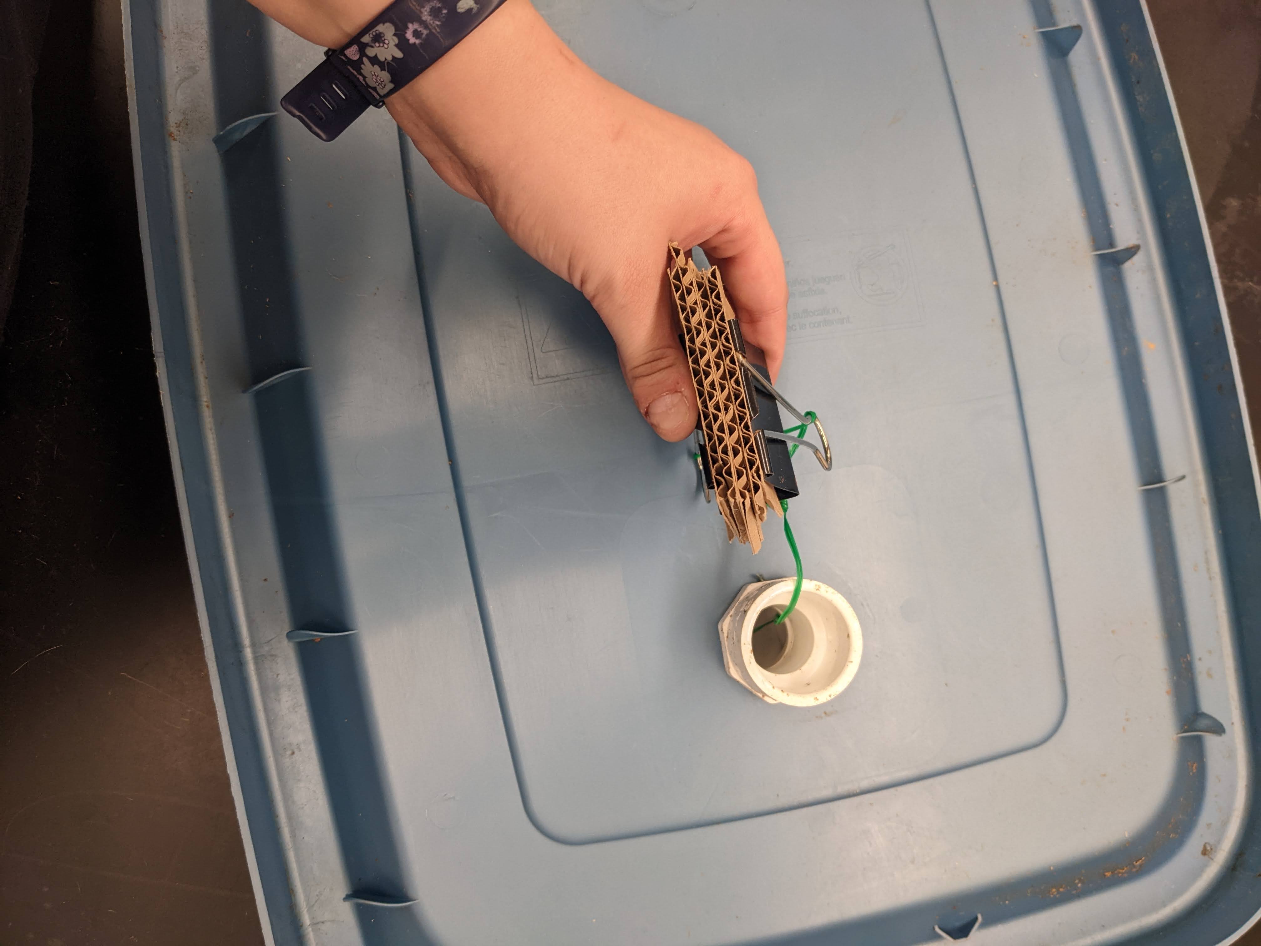 Figure 15. Bottom view of BSF rearing bin lid with corrugated cardboard egg-laying substrate secured by a binder clip and a twist tie. (<em>Photo credit: Catherine Terrell</em>)