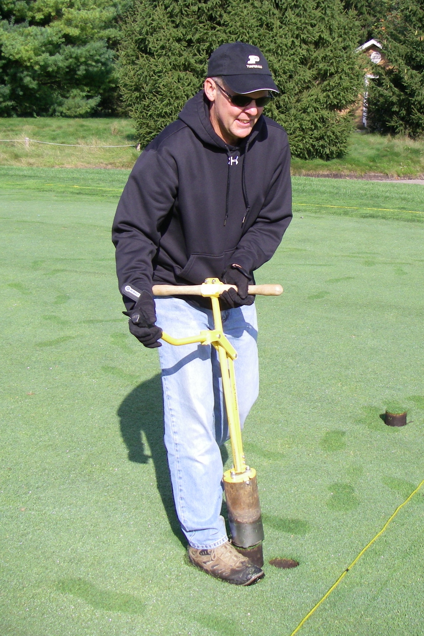 Figure 5. Using a golf course cup-cutter to extract turf and soil cores for detection of below-ground insects.