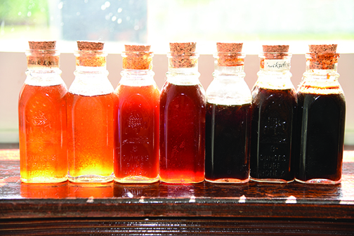Figure 1. The taste and color of honey depend on the plants the honey bees were foraging on when they made it.