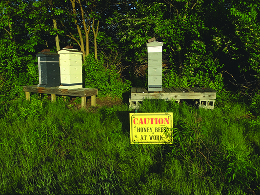 Figure 4. Everyone involved in production agriculture has an interest in protecting pollinators.