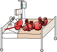 Pathogens Make Insects Sick Cartoon