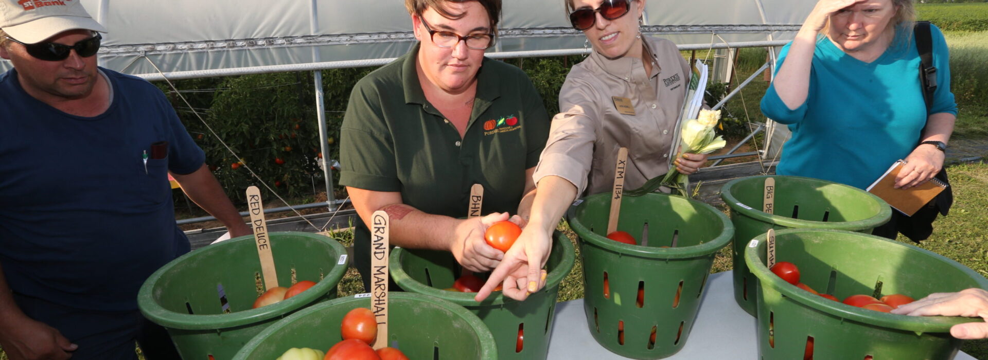 Pinney Agricultural Field Day - 08/15/2017 - Photos from the vegetable and high tunnel field day on Aug. 15, 2017 at the Pinney Purdue Agricultural Center (PPAC).